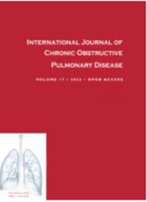 Different Responses to Pulmonary Rehabilitation in COPD Patients with Different Work Efficiencies